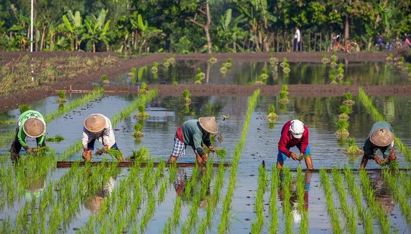 تنگه هرمز و گرانی نهاده‌ها؛ زنگ خطر برای امنیت غذایی مالزی