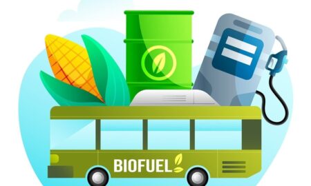 تشکیل کمیته عالی سوخت‌های زیستی در مالزی برای تقویت امنیت انرژی