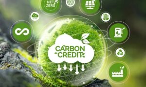 تجارت کربن سنگاپور و فیلیپین
