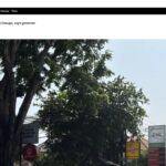 عناوین برخی رسانه های جنوب شرق آسیا خبر چهارشنبه ۲۲ مهر ۱۴۰۵
